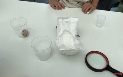 MINT-Tag im MUSIT: Die Klasse 2b forscht und experimentiert