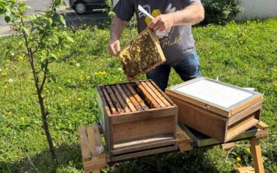 Neue Bewohner auf unserem Schulgelände